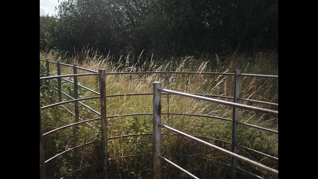 Queer Journeys Through Suburbia