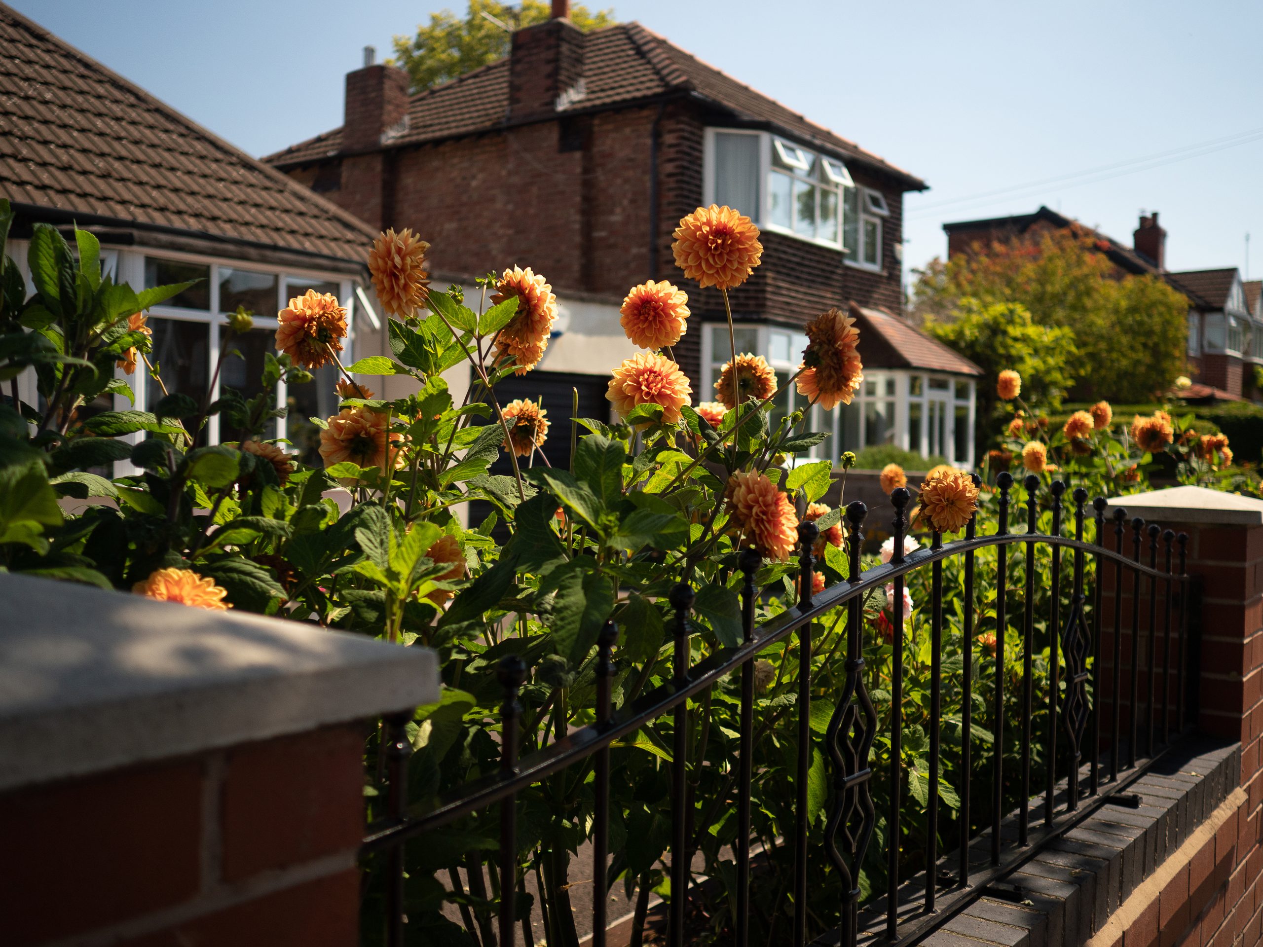 Queer Journeys Through Suburbia